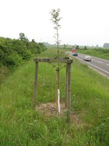 Greenwich Meridian Marker; England; Lincolnshire; Louth